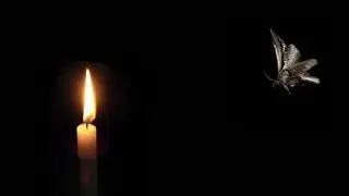 The Idiots and the Idioms.  Like a Moth to a Flame