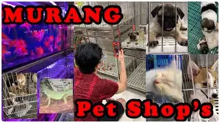 CARTIMAR PET CENTER | QUICK TOUR | MURANG PET SHOPS | PASAY CITY 🇵🇭