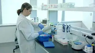 Visium Spatial Gene Expression Protocol | Tissue Fixation