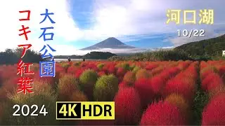 2024 初秋の富士と河口湖(4K-HDR) Mt. Fuji & Lake Kawaguchi In Early Autumn (UHD-HDR)