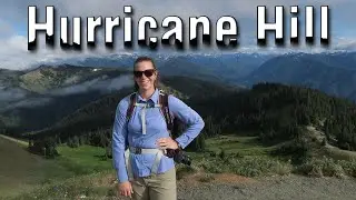Climbing Hurricane Hill in Olympic National Park