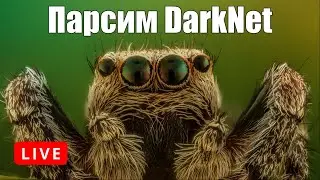 Пишем паука для парсинга всего DarkNet с помощью python