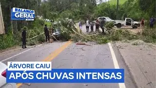 Mulher morre e homem fica ferido após carro ser atingido por árvore em Taubaté (SP)