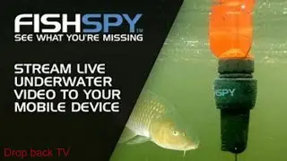underwater 2 footage from my fishspy