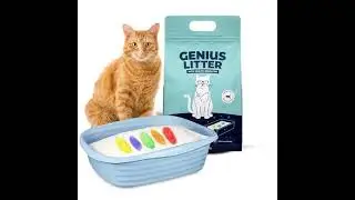 Book/Product Catalog in  Litter Housebreaking