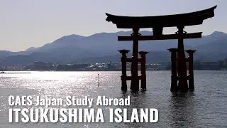 CAES Japan Study Abroad: A Trip to Itsukushima Island