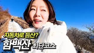 태백산보다 높은데 자동차로 등산? 초딩도 가능한 겨울왕국 눈산 등반! 백두대간 중 최단 등반코스 일걸요?