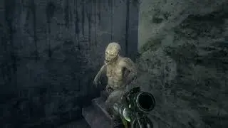 Metro exodus quick time event glitch