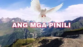 ANG MGA PINILI || STARRY LIVING