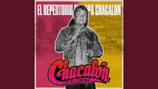 Canci&oacute;n al Maestro (En Vivo)