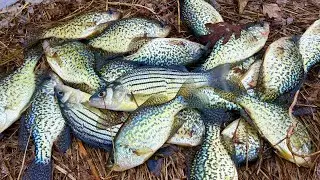 El mejor método para pescar crappie con Jig y flotador