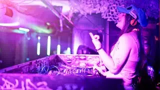DAWN OF THE DINO-DANCERS // IMPACT! FOUNDATION // KREMWERK SEATTLE