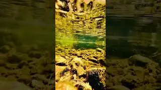 #deosainationalpark#Skardubaltistan