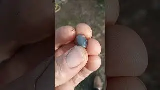 Black Australian Opal Cabochon #gemstones #jewelrymaking #blackopal #cabochon #opalescences #black