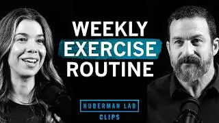 Dr. Rhonda Patrick's Weekly Exercise Routine | Dr. Andrew Huberman