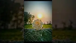 #surah#islaminurdu#arabic#arabicsongs#palestine#urducontent#bangladesh #islamicscripture #deeneislam