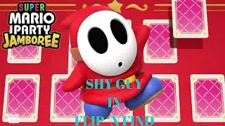 SMPJ - Shy Guy in Flip&rsquo;n Find
