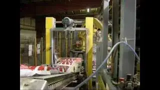 Hamer Fully Automated Bagging System, 50 lbs Salt Bags