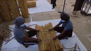 Samagi Spice Exports - History Of Cinnamon