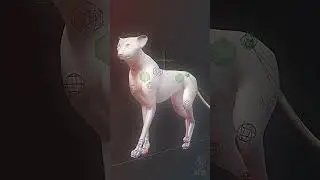 Rough 3D creation breakdown of Vero🐆✨
