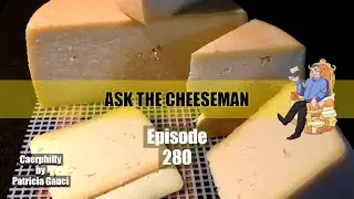 🔴 Ask the Cheeseman #280