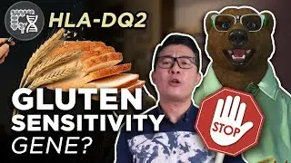 Why You Are Sensitive To Bread (Gluten) | DNA Food Genetics - Gluten Sensitivity Gene (HLADQ2)
