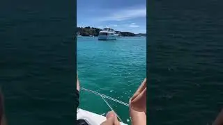 The Best Summer In New Zealand tiktok tiffanysua