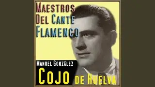 Fandangos: Ni Caso / A Pedirme Se Acercó