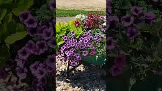 Repurposed Planters