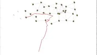 30 Targets Tracked  by Distributed Multi-robot Systems with Global Network Integrity