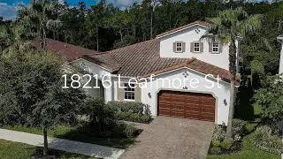 18216 Leafmore St Lutz, FL 33548