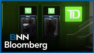 Any major pullback is a good entry point for TD: Anderson