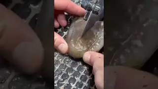 How to Cut Agate Stone #gemstone #crystalstone #crystals #rockcrystal #shortss