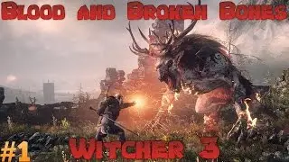 The Witcher 3 : Wild Hunt - Blood and Broken Bones Ep 1
