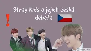 Stray Kids a jejich česká debata| CZ