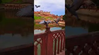 Amber Palace Maotha Lake🔥 || #Short