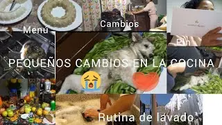 PEQUEÑOS CAMBIOS EN MI COCINA ✅️/ME GASTE TODOS MIS AHORROS🦮/GASTOS DE LA ADMINISTRACIÓN✔️✍️/LAVANDO
