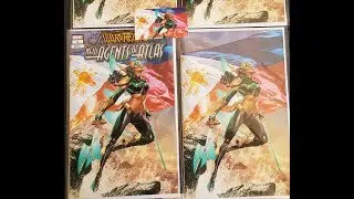 $500 Hot Variants, Spec Books, Original Comic Art Haul