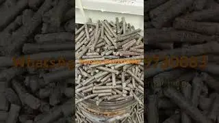 Fuel pellet machine#pelletmachine #pelletmaker #pellet #feedpellet #fuelpellets  #pelletmachine