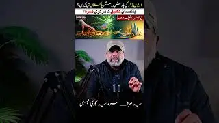 UAE&ndash;Pakistan Strategic Shift Explained | #shorts  | #youtubeshorts  Kazmi360