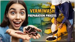 Vermiwash Preparation - Complete Process