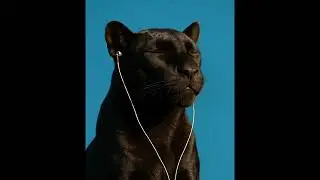 Boom Bap De Uso Libre - Escr&iacute;beme - Instrumental Hip Hop Rap Beat [Prod Gulbie Beats]