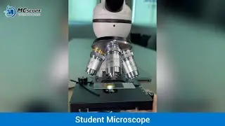 Student Microscope for STEM Learning | Educational  Microscope | School Microscope