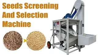 Efficient Seed Grading & Screening Machine | High-Precision Seed Selection#seeds