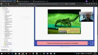 Moodle 2.6.1: Actividade scorm