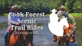 Cook Forest Scenic Trail Rides - PA (2018)