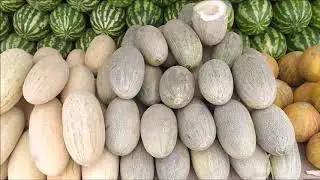 Usbekische Honigmelone