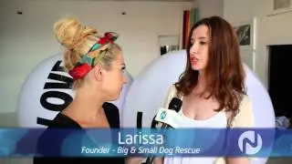 BIG LOVE BALL on Novus TV