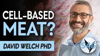 What Is Cell-Based Meat with David Welch, Ph.D.