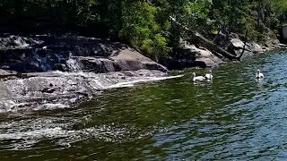 Sioux Narrows and Nestor Falls on hwy 71